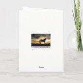 Schönes Pferd im Südwesten des Sonnenuntergangs Ge Karte (Rückseite)