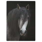 Schönes Pferd Klemmbrett (Rückseite)