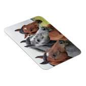 Schönes Pferd Magnet (Rechte Seite)