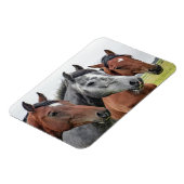 Schönes Pferd Magnet (Linke Seite)