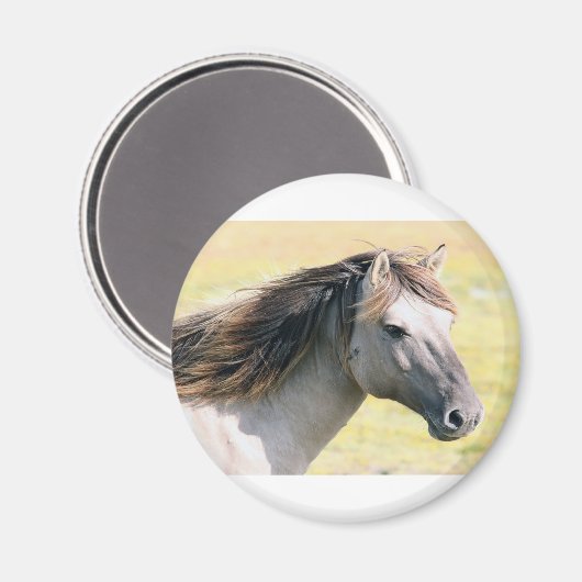 Schönes Pferd Magnet (Vorderseite/Rückseite)
