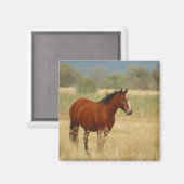 Schönes Pferd Magnet (Vorderseite/Rückseite)