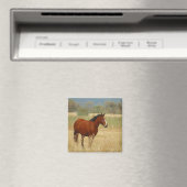 Schönes Pferd Magnet (In Situ (Geschirrspüler))