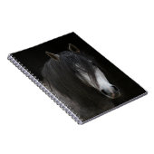 Schönes Pferd Notizblock (Rechte Seite)