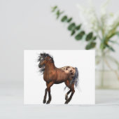 schönes Pferd Postkarte (Stehend Vorderseite)