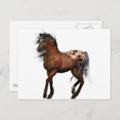 schönes Pferd Postkarte (Vorne/Hinten)