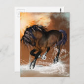 Schönes Pferd Postkarte (Vorne/Hinten)