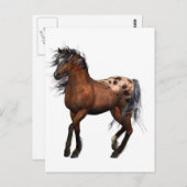 schönes Pferd Postkarte (Vorne/Hinten)