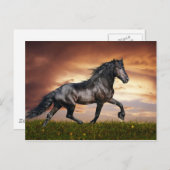 Schönes Pferd Postkarte (Vorne/Hinten)