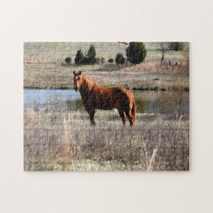 schönes Pferd Puzzle