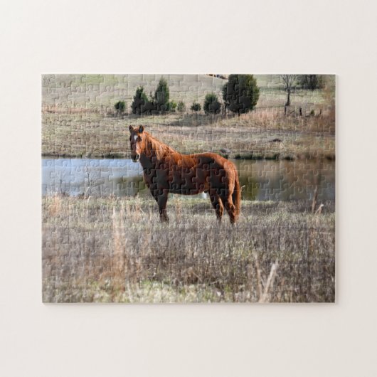 schönes Pferd Puzzle (Horizontal)