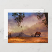 Schönes Pferd und Eichenbaum mit Wolken Postkarte (Vorne/Hinten)