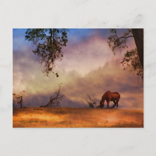 Schönes Pferd und Eichenbaum mit Wolken Postkarte (Vorderseite)