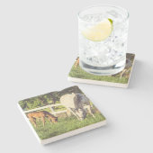 Schönes Pferd und Fohlen auf grüner Weide Steinuntersetzer (Seitenansicht)