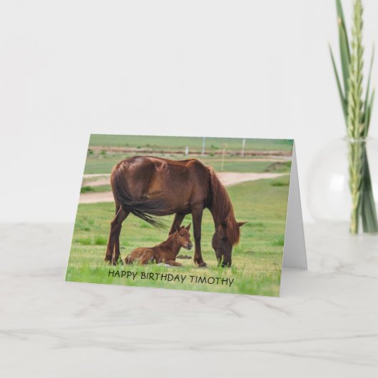 Schönes Pferd und Fohlen in einer Wiese Karte (Vorderseite)