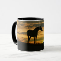 Schönes Pferd und Sonnenuntergang