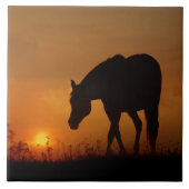 Schönes Pferd und südwestlicher Sonnenuntergang Fliese (Vorderseite)