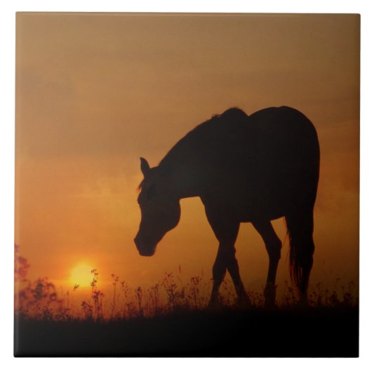 Schönes Pferd und südwestlicher Sonnenuntergang Fliese (Vorderseite)