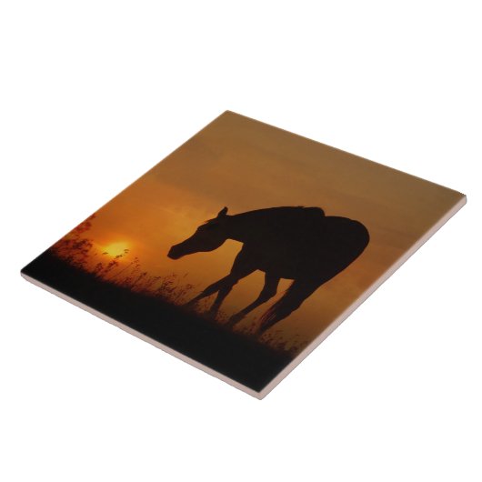 Schönes Pferd und südwestlicher Sonnenuntergang Fliese (Seite)