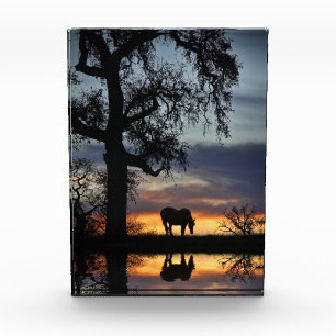 Schönes Pferd und Teich im Sonnenuntergang Fotoblock