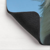Schönes Pferd unter dem blauen Himmel Mousepad (Ecke)