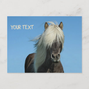 Schönes Pferd unter dem blauen Himmel Postkarte