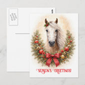 Schönes Pferd Weihnachtsgrüße Postkarte (Vorne/Hinten)