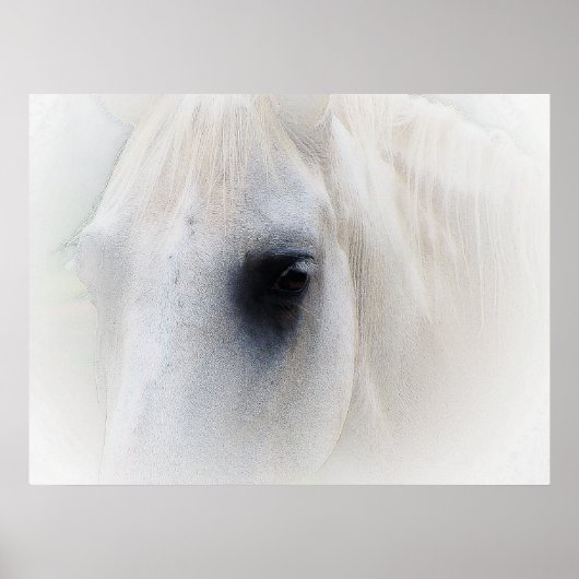 Schönes Pferdeauge Poster (Vorne)