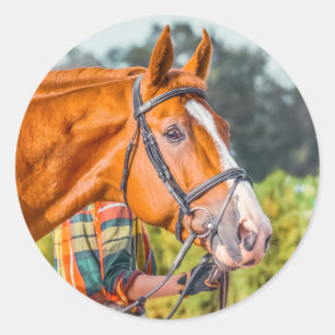 Schönes Pferdekopf Foto schließen Runder Aufkleber
