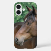 Schönes Pferderennen Case-Mate iPhone Hülle (Rückseite)