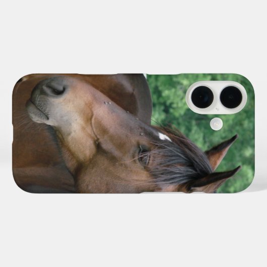 Schönes Pferderennen Case-Mate iPhone Hülle (Rückseite (Horizontal))