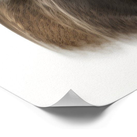 Schönes Pferdeschlittenportrait Farbe der Hand Poster (Ecke)