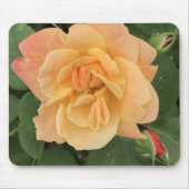 Schönes Pfirsichfarbenes Mauspad Rose (Vorne)