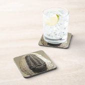 Schönes Phacops-Trilobit-Fossil-Foto Untersetzer (Rechte Seite)