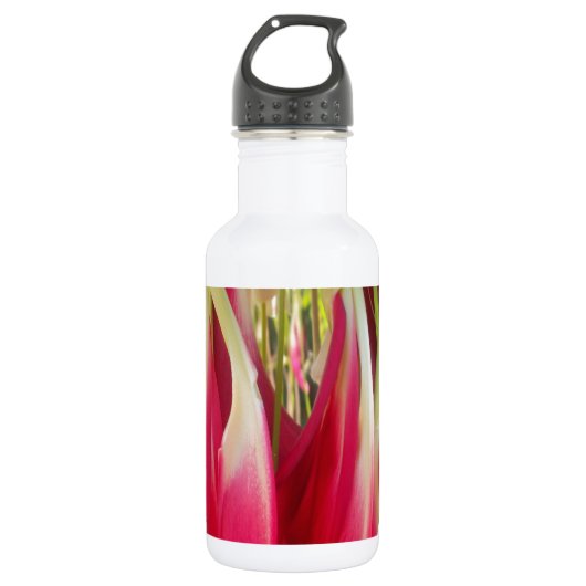 Schönes, phantastisches und anpassbares Design Trinkflasche (Vorderseite)