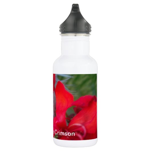 Schönes, phantastisches und anpassbares Design Trinkflasche (Rechts)