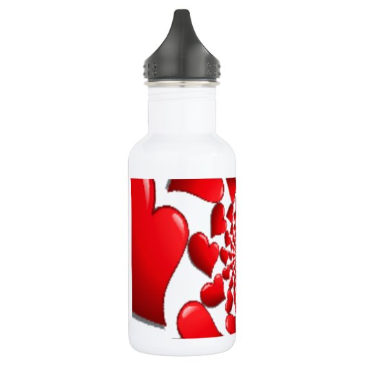 Schönes, phantastisches und anpassbares Design Trinkflasche (Links)