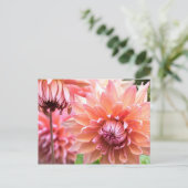 Schönes Pink Dahlias Postkarte (Stehend Vorderseite)