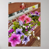 Schönes Pink Petunia Blumengarten Poster (Vorne)