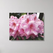 Schönes Pink Rhododendron Bloms Floral Leinwanddruck (Vorderseite)