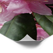 Schönes Pink Rhododendron Bloms Floral Poster (Ecke)