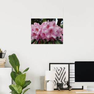 Schönes Pink Rhododendron Bloms Floral Poster
