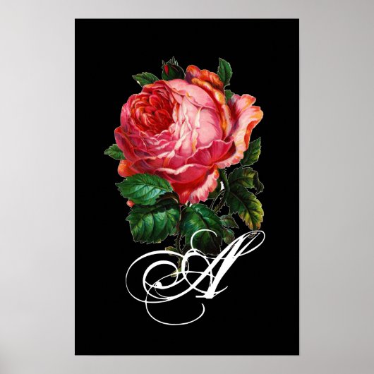 SCHÖNES PINK ROSE MONOGRAMM POSTER (Vorne)