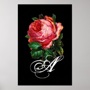 SCHÖNES PINK ROSE MONOGRAMM POSTER