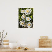 Schönes Plakat für die Weiße Daisy Blume Garten (Küche)