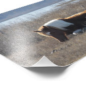 Schönes Ponyfoto. Fotodruck (Ecke)