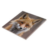 Schönes Portrait von Red Fox in Wilderness 4a Fliese (Seite)
