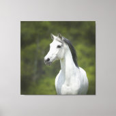 Schönes Portrait von weißem Horn, grüner Hintergru Leinwanddruck (Vorderseite)