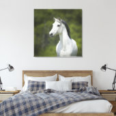 Schönes Portrait von weißem Horn, grüner Hintergru Leinwanddruck (Insitu (Schlafzimmer))