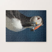 Schönes Porträt von Ozeanpuffvögeln Puzzle (Horizontal)